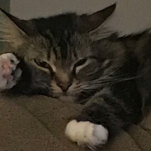 Meet your Posher, Angela